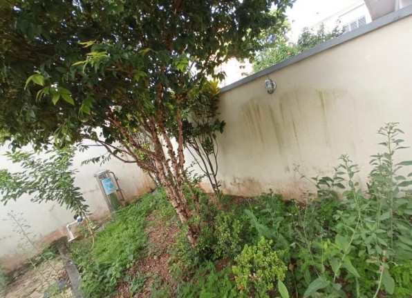 Imagem Casa com 3 Quartos à Venda, 215 m² em Ponta Da Praia - Santos Imagem Casa com 3 Quartos à Venda, 215 m² em Ponta Da Praia - Santos