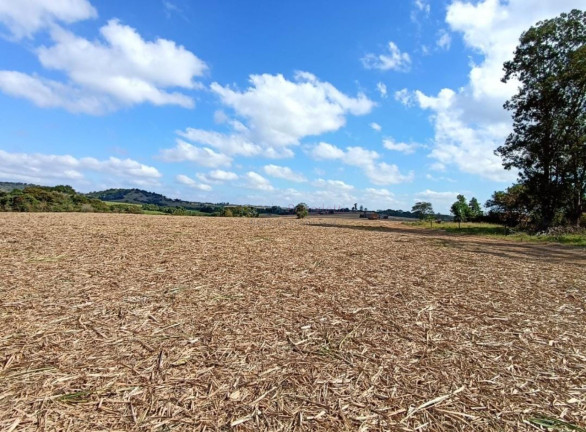 Imagem Imóvel com 3 Quartos à Venda, 557.253 m² em Centro - Itapetininga Imagem Imóvel com 3 Quartos à Venda, 557.253 m² em Centro - Itapetininga