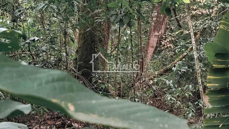 Imagem Imóvel com 4 Quartos à Venda, 440 m² em Araçoiabinha - Araçoiaba Da Serra