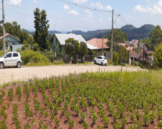Imagem Imóvel à Venda, 970 m² em Centro - Linha Nova Imagem Imóvel à Venda, 970 m² em Centro - Linha Nova