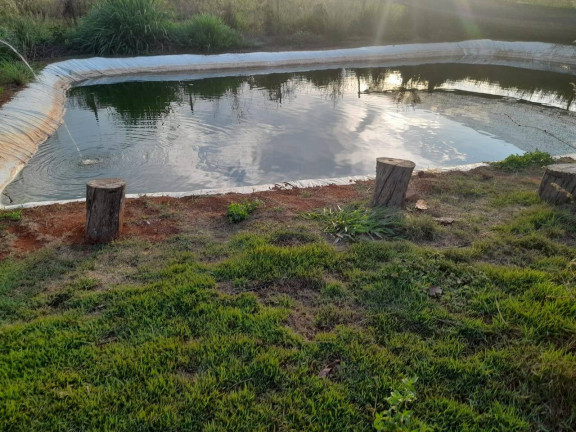 Imagem Chácara com 4 Quartos à Venda, 150 m² em área Rural De Anápolis - Anápolis Imagem Chácara com 4 Quartos à Venda, 150 m² em área Rural De Anápolis - Anápolis