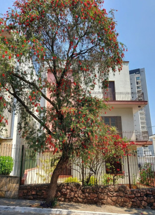 Imagem Imóvel com 2 Quartos à Venda, 68 m² em Vila Mariana - São Paulo Imagem Imóvel com 2 Quartos à Venda, 68 m² em Vila Mariana - São Paulo