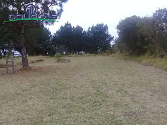 Imagem Casa à Venda, em Viamão Imagem Casa à Venda, em Viamão