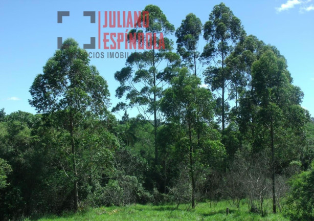 Imagem Imóvel com 2 Quartos à Venda, 28.600 m² em Passo Da Areia - Viamão Imagem Imóvel com 2 Quartos à Venda, 28.600 m² em Passo Da Areia - Viamão