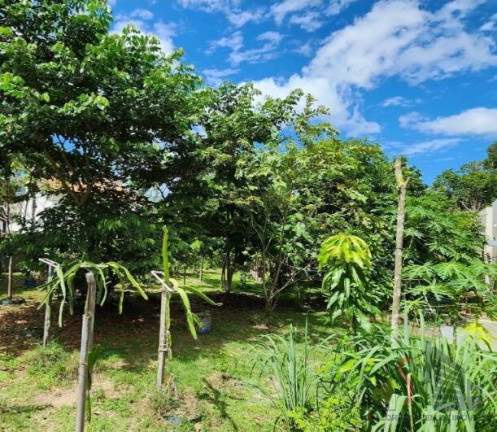 Imagem Terreno em Condomínio à Venda, 800 m² em Ponta Negra - Manaus
