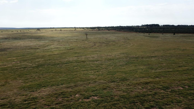 Imagem Fazenda à Venda, 220 m² em Zona Rural - Euclides Da Cunha Paulista Imagem Fazenda à Venda, 220 m² em Zona Rural - Euclides Da Cunha Paulista