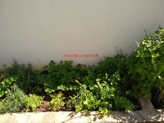 Imagem Apartamento com 3 Quartos à Venda, 62 m² em Parque União - Jundiaí Imagem Apartamento com 3 Quartos à Venda, 62 m² em Parque União - Jundiaí