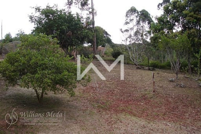 Imagem Chácara com 3 Quartos à Venda, 220 m² em Boa Vista - Nazaré Paulista Imagem Chácara com 3 Quartos à Venda, 220 m² em Boa Vista - Nazaré Paulista