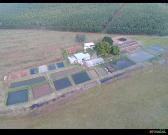 Imagem Imóvel à Venda, 70 m² em Urânia - Urânia Imagem Imóvel à Venda, 70 m² em Urânia - Urânia