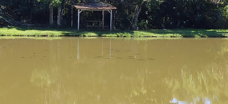 Imagem Chácara à Venda, 1.800 m² em Br 277 - Cascavel Imagem Chácara à Venda, 1.800 m² em Br 277 - Cascavel