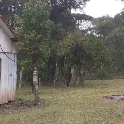 Imagem Imóvel com 3 Quartos à Venda, em Antonio Olinto - Antônio Olinto Imagem Imóvel com 3 Quartos à Venda, em Antonio Olinto - Antônio Olinto