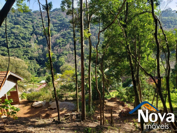 Imagem Imóvel à Venda, 6.862 m² em Vila Olinda - Nova Petrópolis Imagem Imóvel à Venda, 6.862 m² em Vila Olinda - Nova Petrópolis