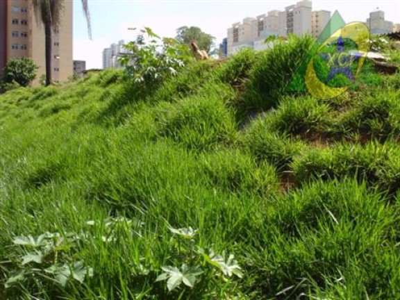 Imagem Imóvel à Venda, 9 m² em Parque Rural Fazenda Santa Cândida - Campinas Imagem Imóvel à Venda, 9 m² em Parque Rural Fazenda Santa Cândida - Campinas