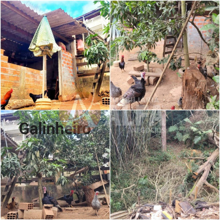 Imagem Casa com 3 Quartos à Venda, 500 m² em Vila Jovina - Cotia Imagem Casa com 3 Quartos à Venda, 500 m² em Vila Jovina - Cotia