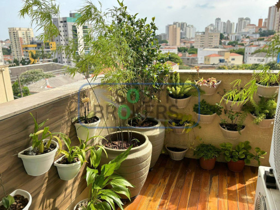 Imagem Apartamento com 3 Quartos à Venda, em Jardim São Paulo(zona Norte) - São Paulo Imagem Apartamento com 3 Quartos à Venda, em Jardim São Paulo(zona Norte) - São Paulo