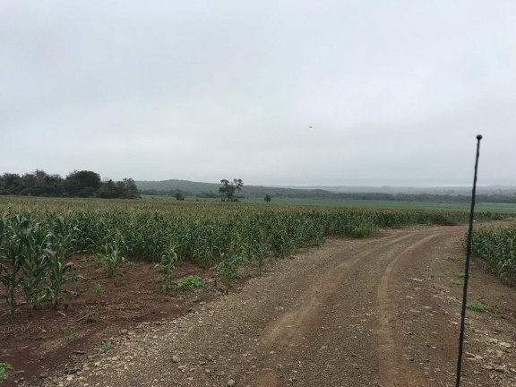 Fazenda à Venda, 750 m² em Rural - Bela Vista