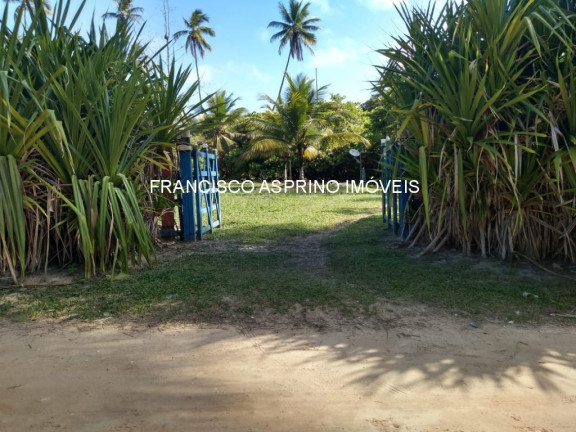 Imagem Imóvel à Venda, 8.000 m² em Mamoã - Ilhéus Imagem Imóvel à Venda, 8.000 m² em Mamoã - Ilhéus