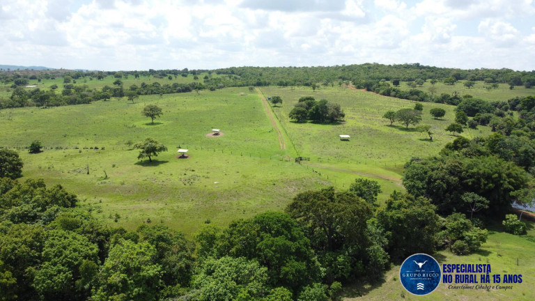 Imagem Fazenda à Venda, 108 m² em Zona Rural - Montes Claros De Goiás Imagem Fazenda à Venda, 108 m² em Zona Rural - Montes Claros De Goiás