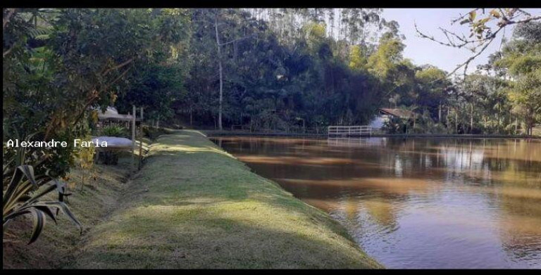 Imagem Chácara com 4 Quartos à Venda, 70.000 m² em Pouso Alto - Natividade Da Serra