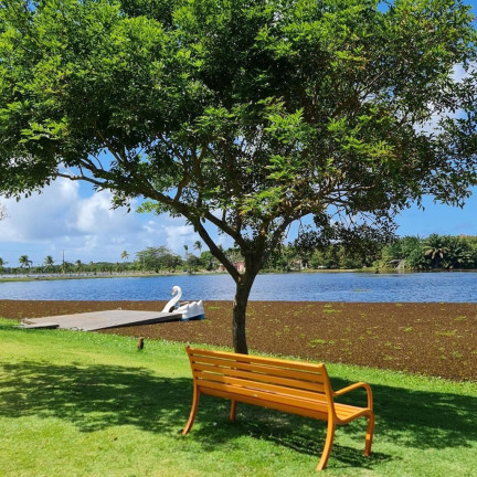 Imagem Apartamento com 2 Quartos à Venda, 70 m² em Guarajuba (monte Gordo) - Camaçari Imagem Apartamento com 2 Quartos à Venda, 70 m² em Guarajuba (monte Gordo) - Camaçari