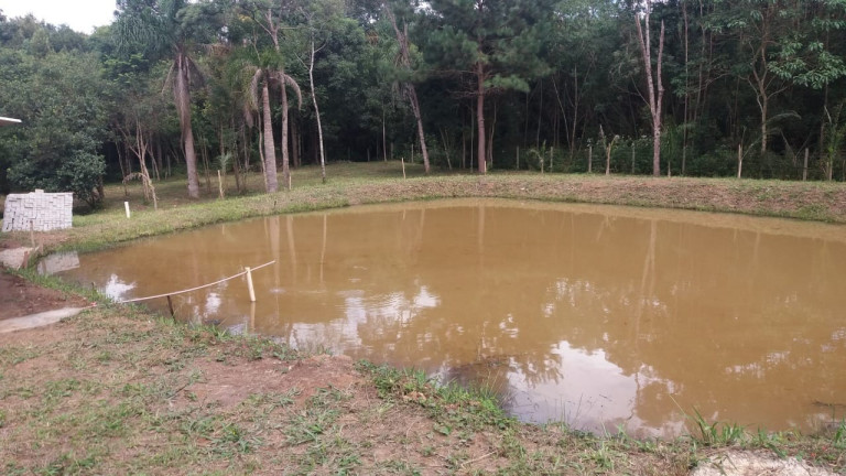 Imagem Chácara com 3 Quartos à Venda, 3.000 m² em Bugre - Balsa Nova