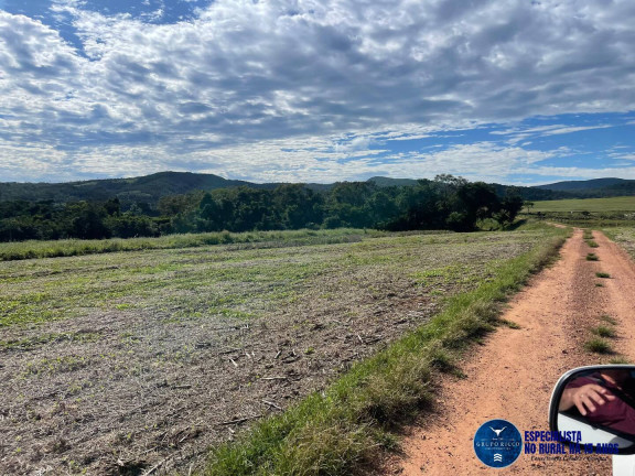 Imagem Fazenda à Venda, 62 m² em Zona Rural - São Francisco De Goiás Imagem Fazenda à Venda, 62 m² em Zona Rural - São Francisco De Goiás