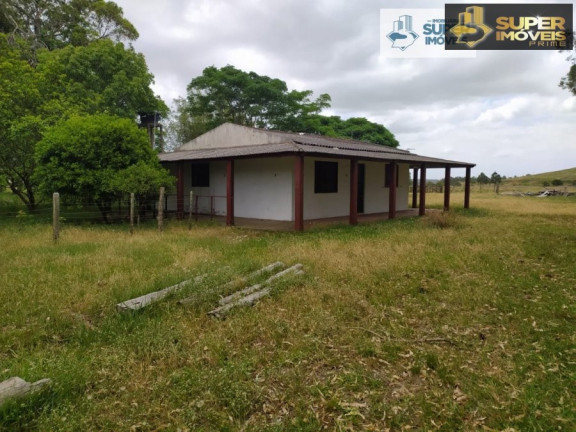 Imagem Imóvel com 2 Quartos à Venda, 60.000 m² em Quinta - Rio Grande