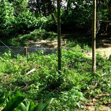Imagem Terreno à Venda, 1.560 m² em Enseada - Ubatuba Imagem Terreno à Venda, 1.560 m² em Enseada - Ubatuba