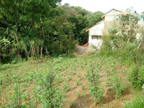 Imagem Terreno à Venda, 317 m² em Jardim Tercasa - Mairiporã