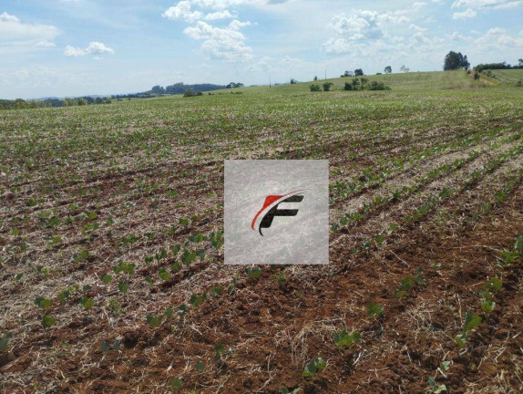 Imagem Fazenda à Venda, 813.120 m² em Guampará - Marquinho Imagem Fazenda à Venda, 813.120 m² em Guampará - Marquinho