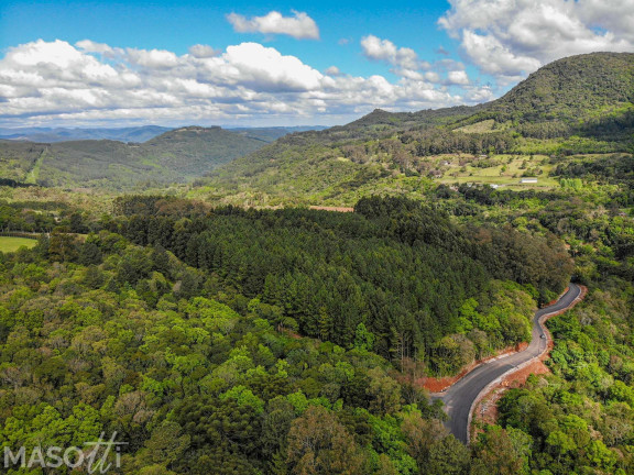 Imagem Chácara à Venda, 30.000 m² em Linha 28 - Gramado Imagem Chácara à Venda, 30.000 m² em Linha 28 - Gramado
