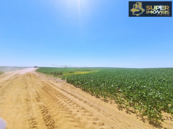 Imagem Imóvel com 3 Quartos à Venda, 21.000.000 m² em área Rural De Cachoeira Do Sul - Cachoeira Do Sul