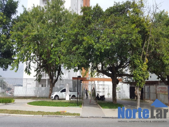 Imagem Apartamento com 2 Quartos à Venda, 45 m² em Vila Nova Cachoeirinha - São Paulo