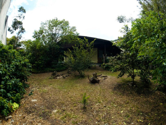Imagem Imóvel com 3 Quartos à Venda, em Lagoa Da Conceição - Florianópolis Imagem Imóvel com 3 Quartos à Venda, em Lagoa Da Conceição - Florianópolis