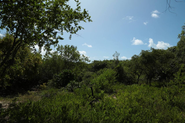 Imagem Terreno à Venda, 19 m² em Barra Do Cunhaú - Canguaretama Imagem Terreno à Venda, 19 m² em Barra Do Cunhaú - Canguaretama