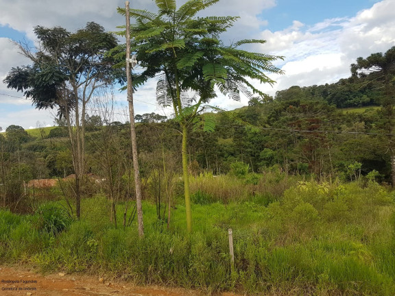 Imagem Imóvel à Venda, 2.000 m² em Laranjeiras De Caldas - Laranjeiras De Caldas Imagem Imóvel à Venda, 2.000 m² em Laranjeiras De Caldas - Laranjeiras De Caldas