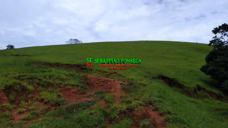 Imagem Fazenda à Venda, 65 m² em Centro - Cunha Imagem Fazenda à Venda, 65 m² em Centro - Cunha
