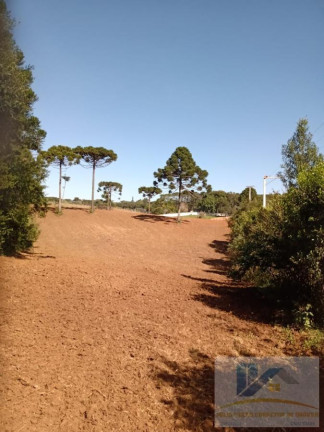 Imagem Terreno à Venda, 6.600 m² em Campo Largo Da Roseira - São José Dos Pinhais Imagem Terreno à Venda, 6.600 m² em Campo Largo Da Roseira - São José Dos Pinhais