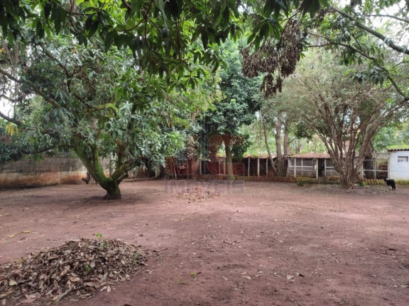 Imagem Imóvel com 3 Quartos à Venda, 5.000 m² em Recreio Internacional - Ribeirão Preto Imagem Imóvel com 3 Quartos à Venda, 5.000 m² em Recreio Internacional - Ribeirão Preto