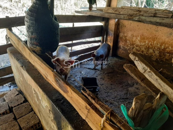 Imagem Imóvel com 2 Quartos à Venda, 1 m² em Bairro São José Do Retiro - Bananal Imagem Imóvel com 2 Quartos à Venda, 1 m² em Bairro São José Do Retiro - Bananal