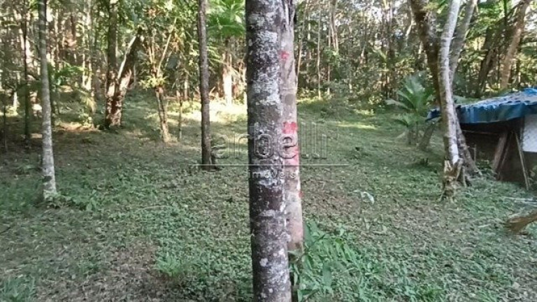Imagem Fazenda à Venda, 22.800 m² em Vitalinos - Juquitiba