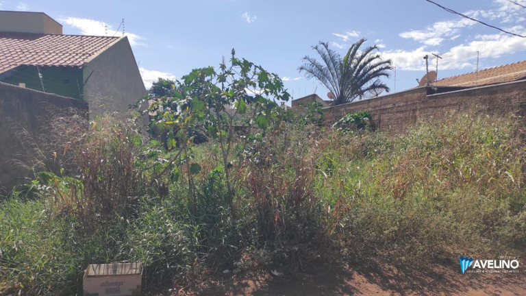 Imagem Terreno à Venda, 250 m² em Jardim Das Nações - Campo Grande