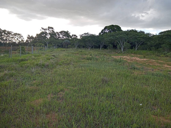 Imagem Chácara à Venda, 20.000 m² em águas Claras - Viamão