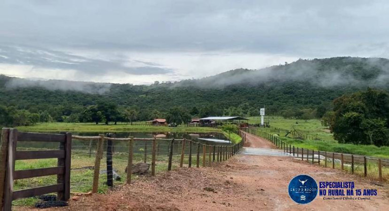 Imagem Fazenda à Venda, 72 m² em Zona Rural - Morro Agudo De Goiás Imagem Fazenda à Venda, 72 m² em Zona Rural - Morro Agudo De Goiás