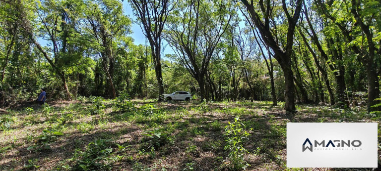 Imagem Chácara à Venda, 20 m² em Coqueiral - Cascavel
