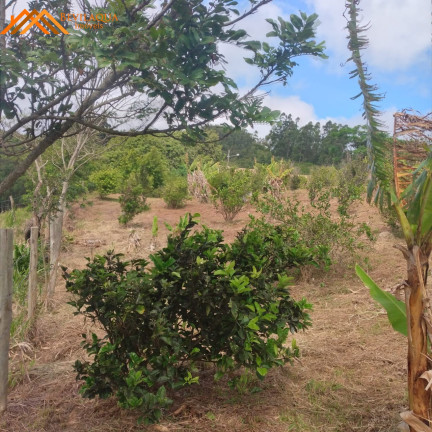Imagem Terreno à Venda, 1.460 m² em Cangueri De Fora - Imaruí