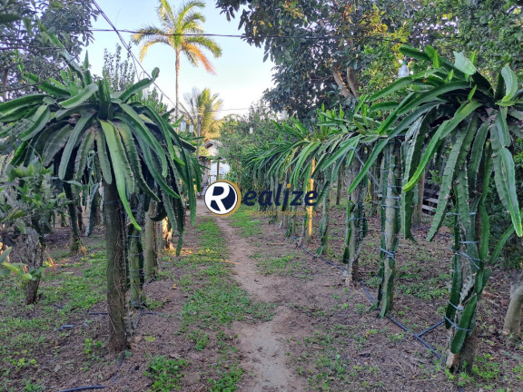Imagem Imóvel com 5 Quartos à Venda, em Meaípe - Guarapari Imagem Imóvel com 5 Quartos à Venda, em Meaípe - Guarapari