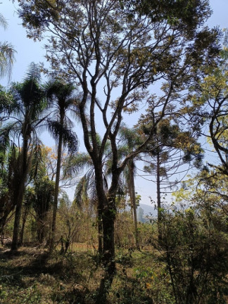 Imagem Imóvel à Venda, em São José Dos Campos Imagem Imóvel à Venda, em São José Dos Campos
