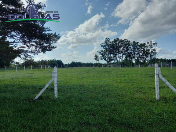 Imagem Terreno à Venda, em Viamão Imagem Terreno à Venda, em Viamão