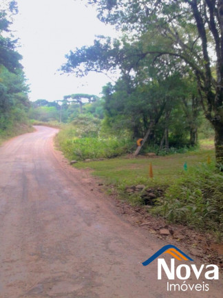 Imagem Imóvel à Venda, em Linha Araripe - Nova Petrópolis Imagem Imóvel à Venda, em Linha Araripe - Nova Petrópolis